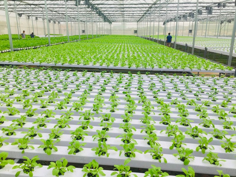 biện pháp bảo vệ môi trường nước ở châu âu