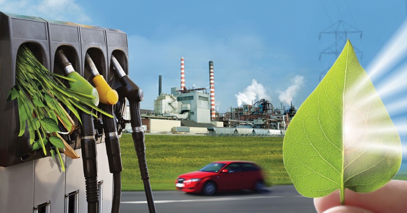 Bioenergy is a clean energy source created from organic materials