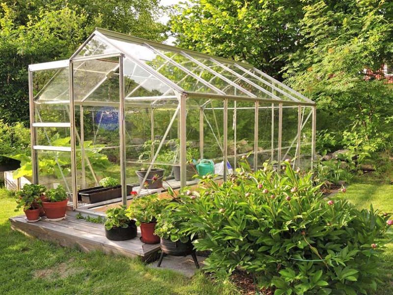 Cách làm vườn rau mini tại nhà