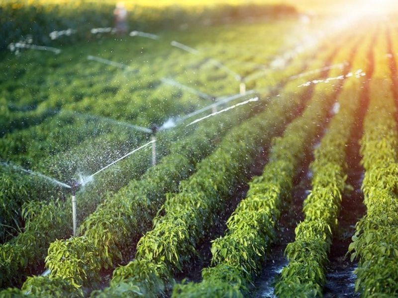 Lợi ích của nông nghiệp hiện đại