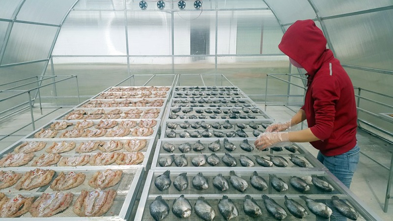 Nhiệt độ sấy là tiêu chí quan trọng mà bạn nên xem xét khi mua máy sấy