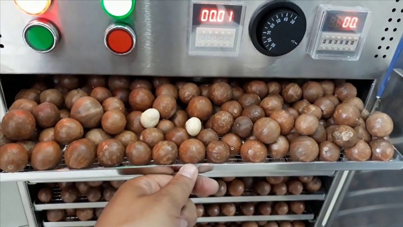 Hướng dẫn sử dụng máy sấy hạt đơn giản