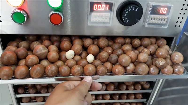 macca sấy lạnh