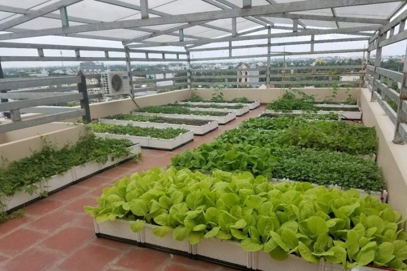 Nên chọn lưới có độ bền cao
