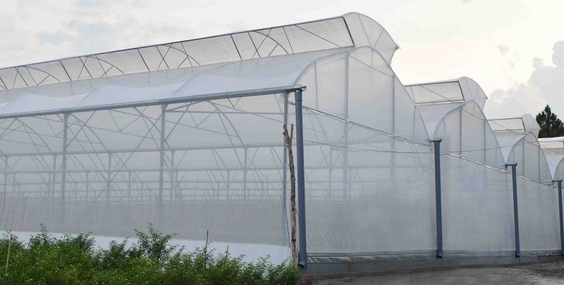 Một số ưu và nhược điểm của nhà màng nông nghiệp