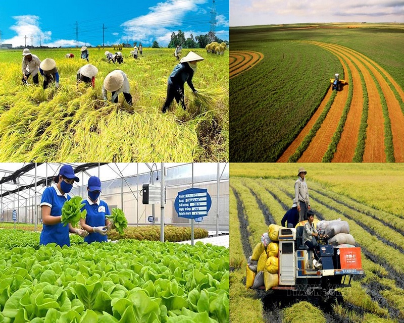 phát triển nông nghiệp bền vững