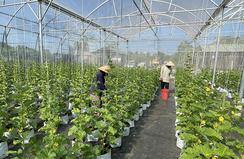 Những điều kiện để phát triển nông nghiệp sinh thái