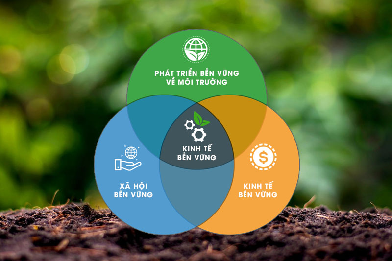 Ví dụ về phát triển bền vững ở Việt Nam