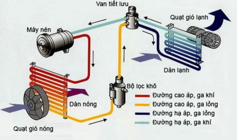 Sấy thăng hoa và sấy lạnh