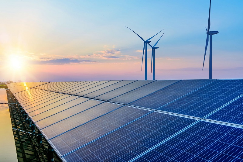 Learn about what sustainability is