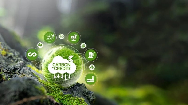 Tín chỉ carbon PDF