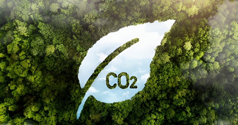 Tín chỉ carbon giá bao nhiều