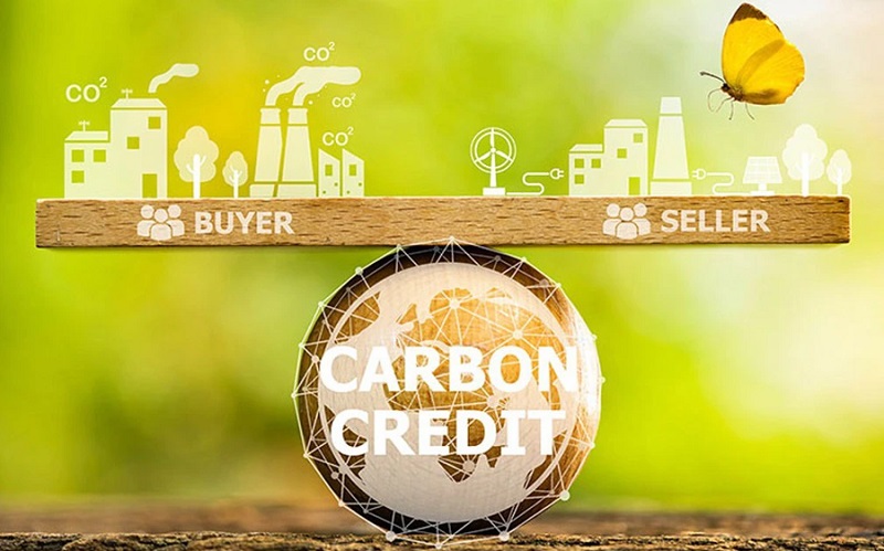 Tín chỉ carbon tiếng Anh là gì