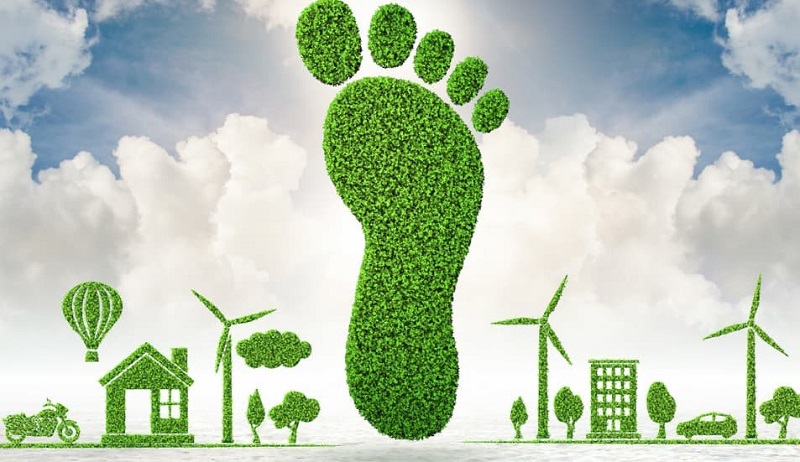 Carbon footprint ảnh hưởng xấu tới sức khoẻ con người