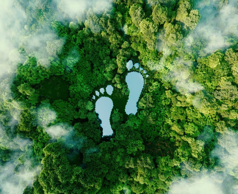 Giới thiệu về dấu chân carbon