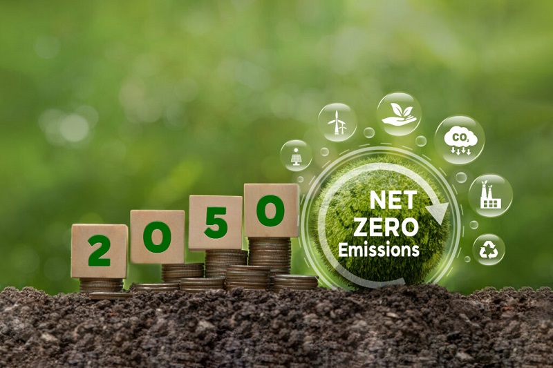 Net zero stock