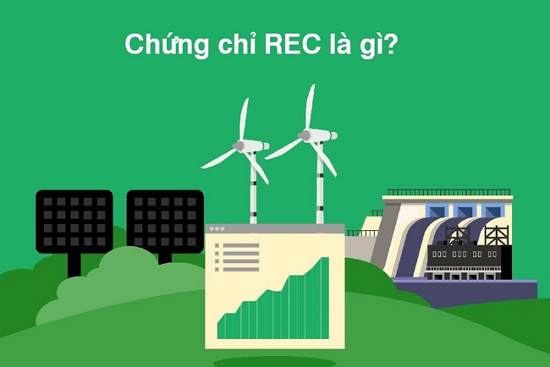 Chứng chỉ REC