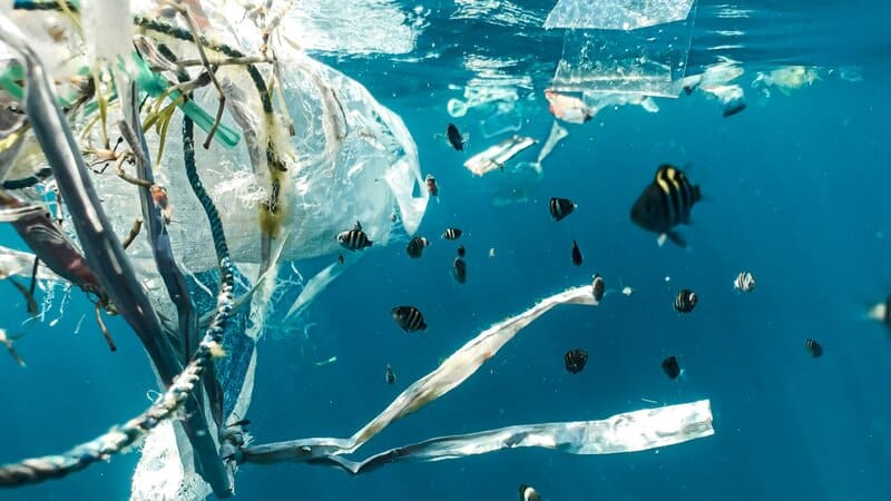 what is polluted water