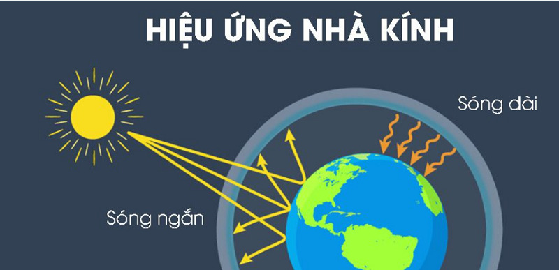 Hiệu ứng nhà kính do đầu