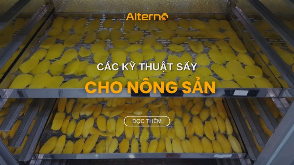 Tìm hiểu các kỹ thuật sấy tiên tiến cho nông sản