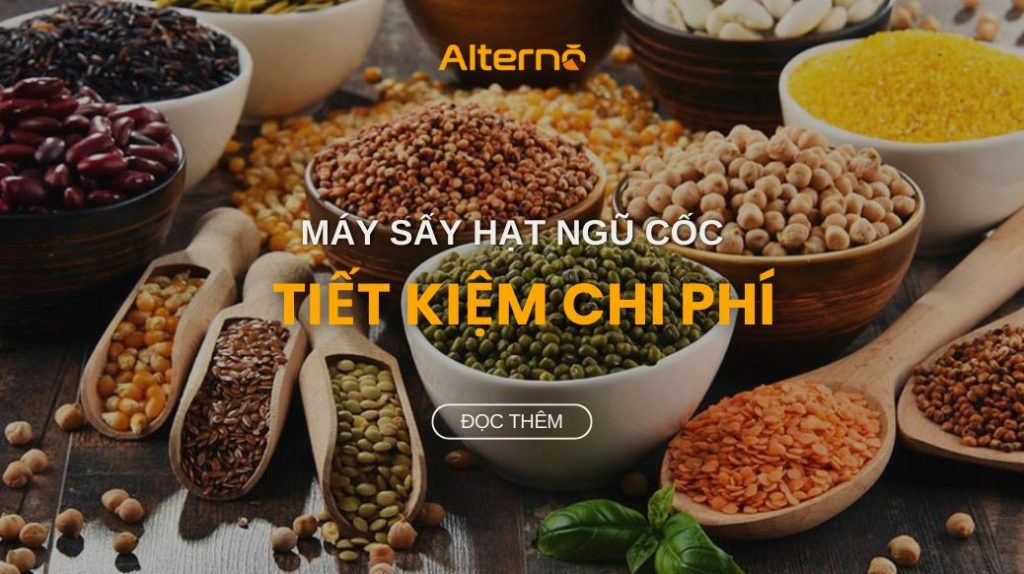 alterno máy sấy hạt