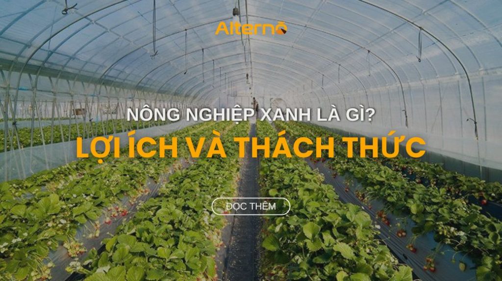 Những điều kiện để phát triển mô hình sản xuất nông nghiệp xanh