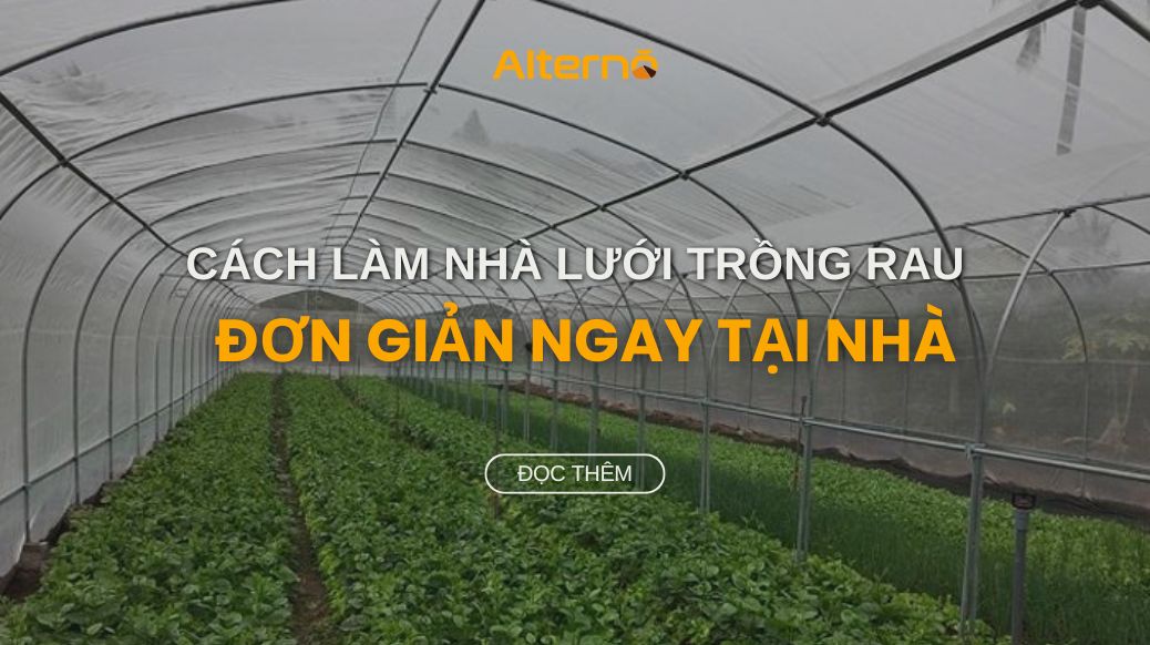 Cách làm nhà lưới trồng rau đơn giản và chi tiết nhất