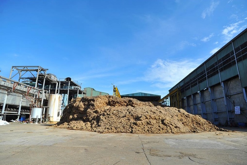 Điện sinh khối giúp giảm thiểu lượng chất thải