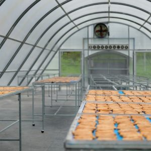 Greenhouse dryer design
