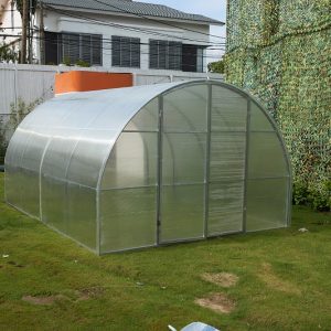 Greenhouse solar dryer