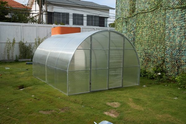 Greenhouse solar dryer