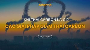 Khí thải carbon là gì