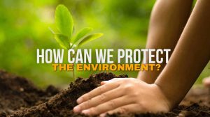 How can we protect the environment