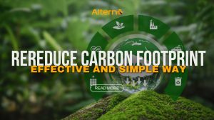 10 simple ways to reduce your carbon footprint