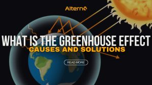 What is the greenhouse effect